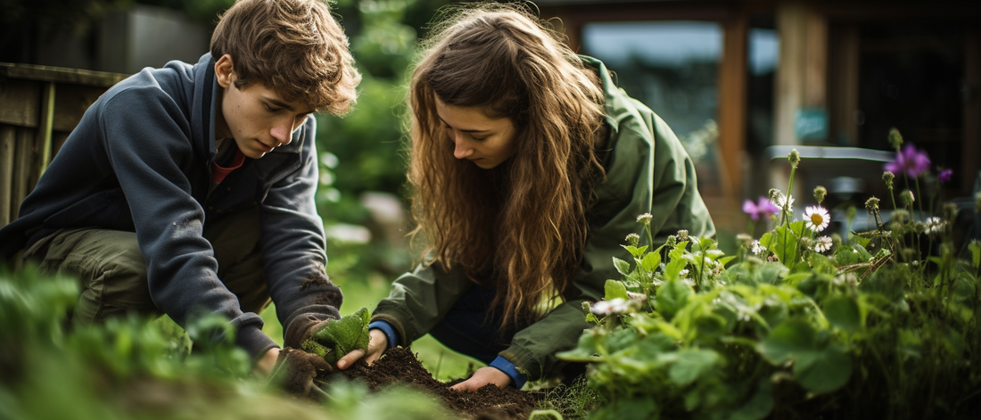 The Magic of Seed Balls: Boosting Bee Populations One Garden at a Time