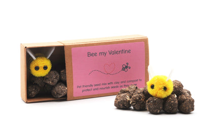 Valentine Edition - UK-Grown Pet Friendly Wildflower Seed balls – Box of 16, each with 60 - 100 seeds