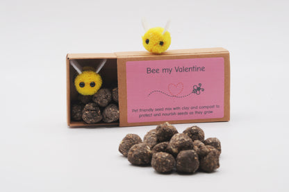Valentine Edition - UK-Grown Pet Friendly Wildflower Seed balls – Box of 16, each with 60 - 100 seeds