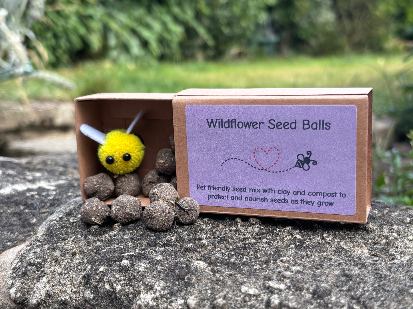 UK-Grown Pet Friendly Wildflower Seed balls – Box of 16, each with 60 - 100 seeds