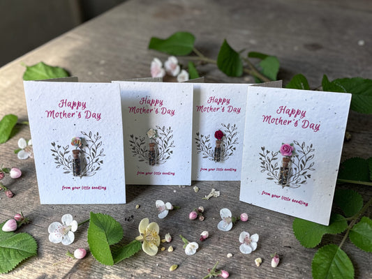 Mother's Day "From your little seedling" Card