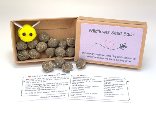 UK-Grown Pet Friendly Wildflower Seed balls – Box of 16, each with 60 - 100 seeds