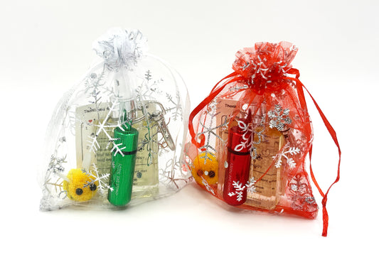 Christmas Themed Bee Revival Kit Gift Bag