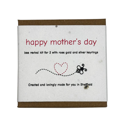 Mother's Day Bee Revival Kit Gift - 2 x Keyrings, 15ml Dropper Bottle with Syrup, Seed Paper, Eco Packaging, Free Gift Wrap (Copy)