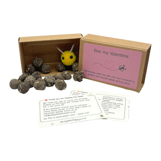 Valentine Edition - UK-Grown Pet Friendly Wildflower Seed balls – Box of 16, each with 60 - 100 seeds