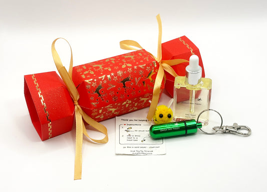 Bee Revival Kit - Silent Christmas Cracker