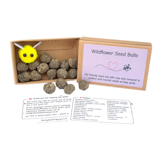 UK-Grown Pet Friendly Wildflower Seed balls – Box of 16, each with 60 - 100 seeds