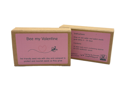 Valentine Edition - UK-Grown Pet Friendly Wildflower Seed balls – Box of 16, each with 60 - 100 seeds