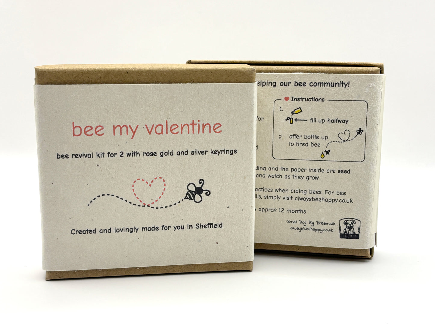Valentine's Day Bee Revival Kit Gift - 2 x Keyrings, 15ml Dropper Bottle with Syrup, Seed Paper, Eco Packaging, Free Gift Wrap